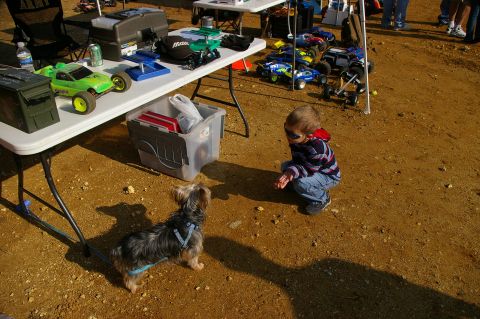 1986 Ford Bronco - A child and a dog are near a table displaying remote control cars and various hobby supplies.