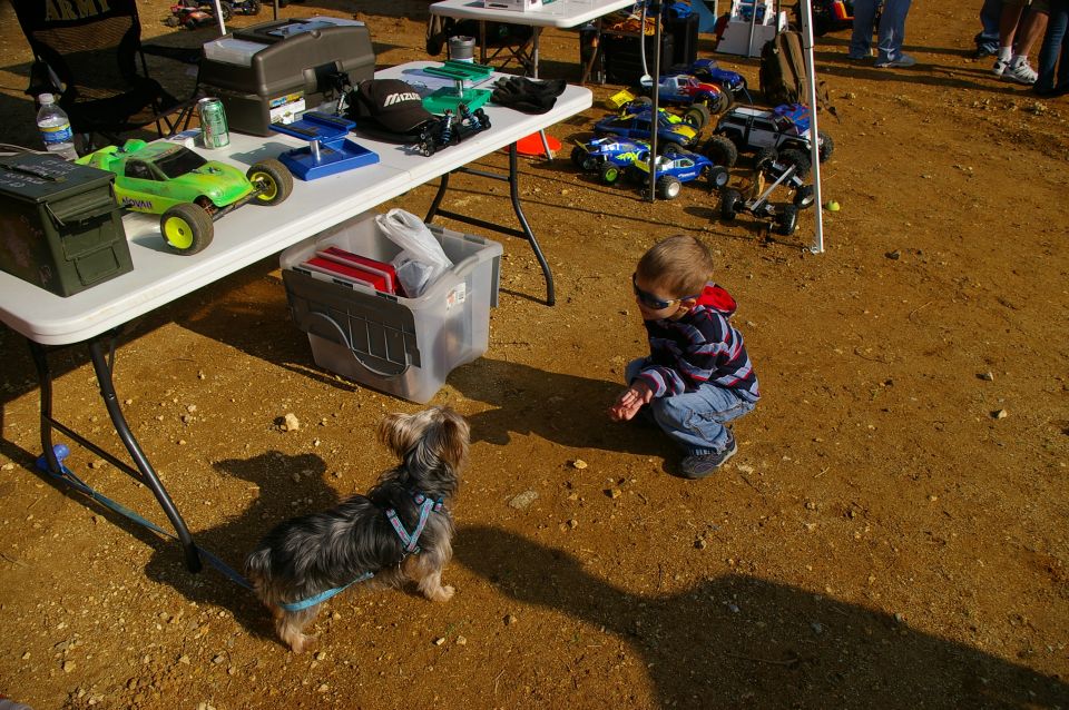 Child in sunglasses crouches near a Yorkshire Terrier by a table with remote control cars and supplies
