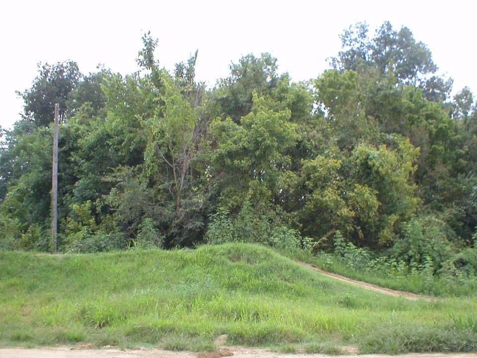 Grassy dirt mound with a path, trees, and a utility pole under a pale sky.