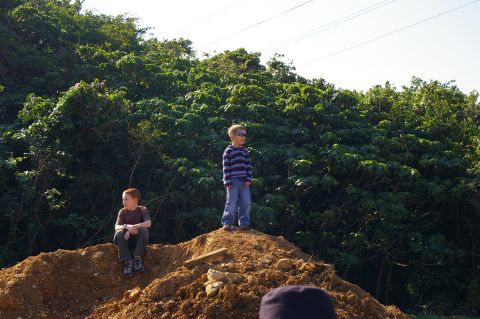 1986 Ford Bronco - Two young boys survey the landscape from atop a dirt mound, with a backdrop of vibrant green trees under a bright sky.