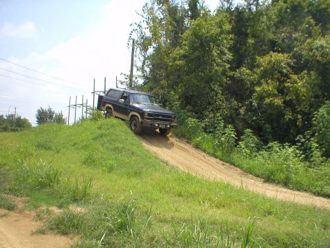 1983 Ford Bronco - A dark blue SUV with tan trim navigates a dirt path on an incline, surrounded by lush greenery and utility poles.