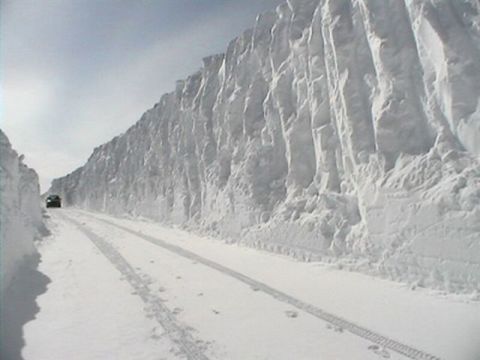 1991 Ford Crown Victoria - North MI snow storm