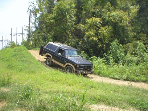 1983 Ford Bronco - Ford Bronco navigates an off-road trail with dense foliage on either side.