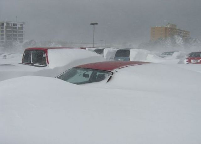 Cars are buried under deep snow drifts with only the roofs visible. Buildings are in the background