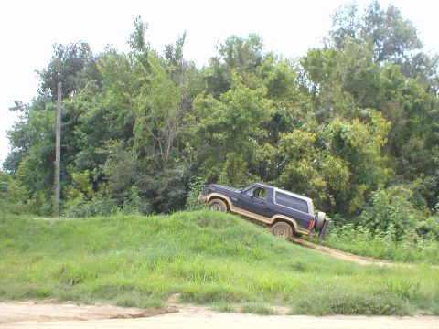1983 Ford Bronco - A Ford Bronco navigates an off-road trail with lush green foliage surrounding it.