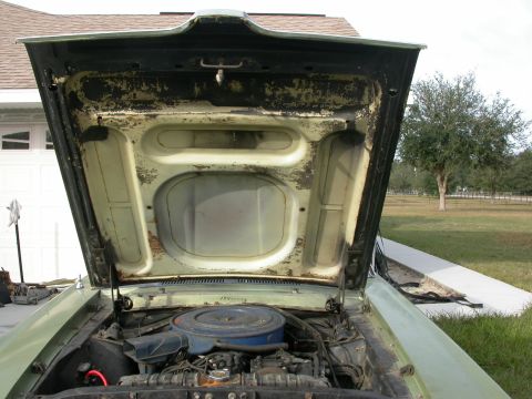 1968 Mercury Cougar - The engine bay of a 1968 Mercury Cougar is visible with the hood raised.