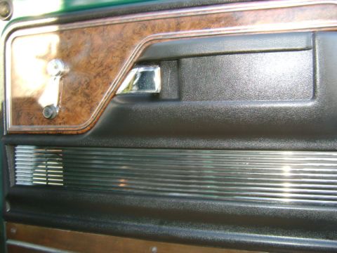 1979 Ford F-150 photo