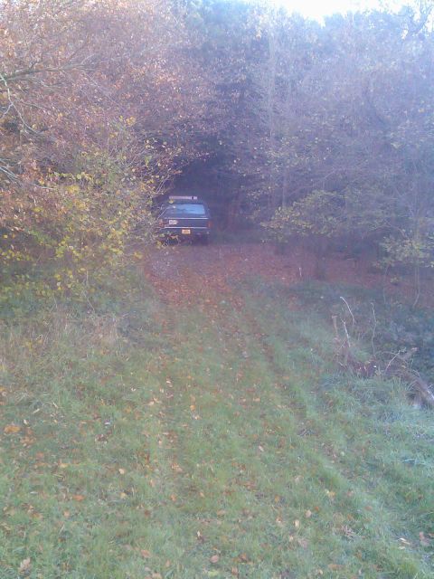 1978 Ford Bronco - Then straight up the sharp incline and into the woods,never got a car that far up before and the grass was soaking.The photo does`nt show c…