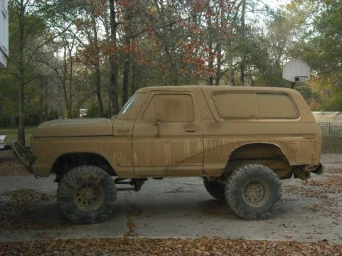 1979 Ford Bronco - This heavily soiled SUV is parked on a concrete surface surrounded by fallen leaves and trees.