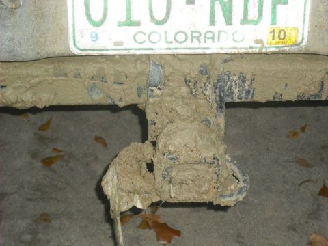 1979 Ford Bronco - A trailer hitch and Colorado license plate are heavily covered in mud, obscuring any vehicle details.