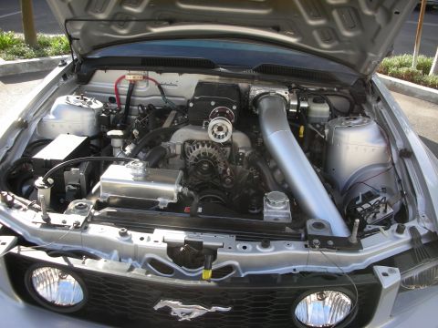 1992 Ford Crown Victoria - The engine bay of a silver Ford Mustang shows a supercharger and custom intake system.