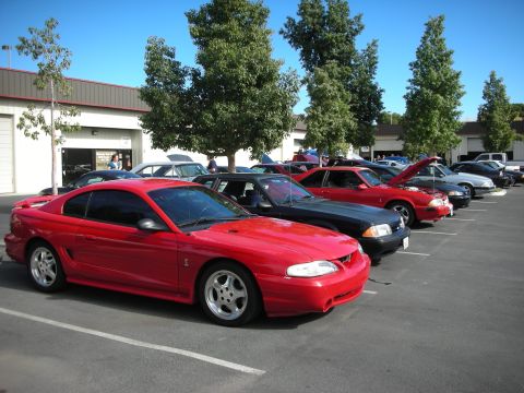 1992 Ford Crown Victoria - Several cars are parked in a lot on a sunny day, with trees and a building in the background.