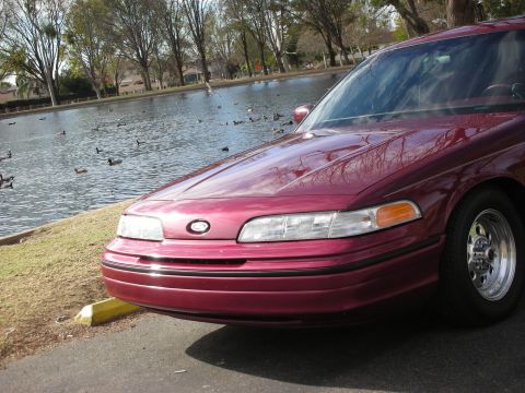 1992 Ford Crown Victoria - The front end of a maroon 1992 Ford Crown Victoria is visible next to a body of water filled with ducks.