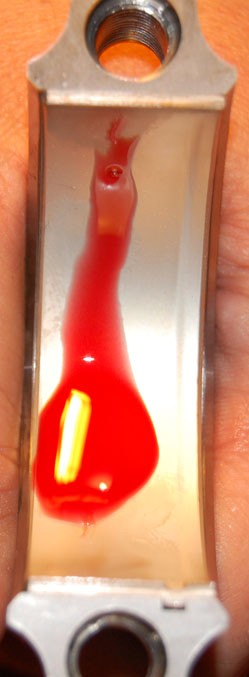 2007 Ford Mustang - Close-up of an engine bearing showing red fluid and a yellow fragment, indicating potential wear.