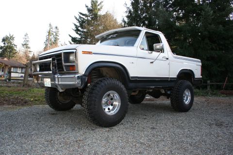 1984 Ford Bronco photo