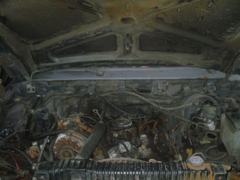 1984 Ford Bronco II “1BadB2”