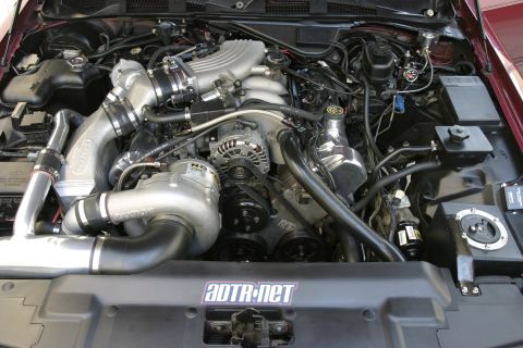 1992 Ford Crown Victoria - Engine bay of a Ford V8 fitted with a Paxton centrifugal supercharger and polished intake tubing, showing the alternator, upper intake mani…