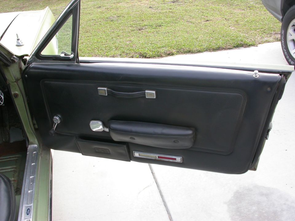 car door panel with black upholstery, chrome handle, and armrest. Exterior shows green paint and grass