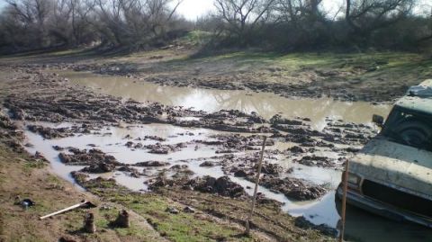 1979 Ford Bronco - This 1979 Ford Bronco is stuck in a muddy area with trees and water visible.