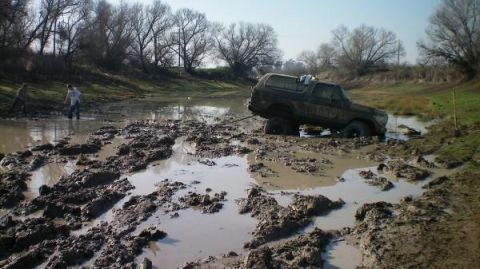 1979 Ford Bronco photo
