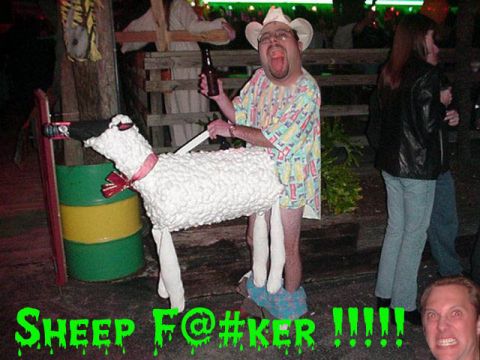 1979 Ford F-150 - Man in a sheep costume with text overlay 'Sheep F@#KER !!!!'.