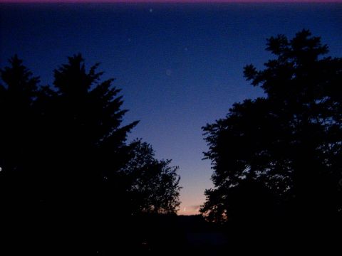 1988 Ford Bronco - Trees are silhouetted against a deep blue sky as twilight fades.