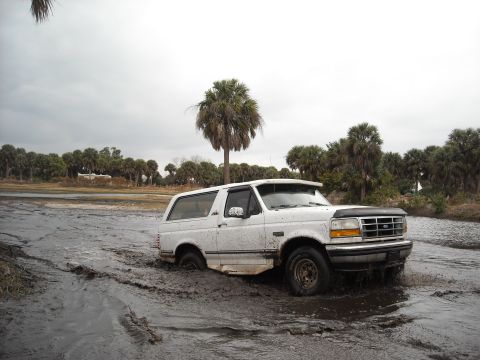 1992 Ford Bronco - White 1992 Ford Bronco is stuck in a muddy area with palm trees visible.