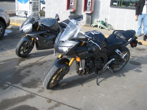 2008 Yamaha FZR1000 “Fuzzy One - TOTALLED”