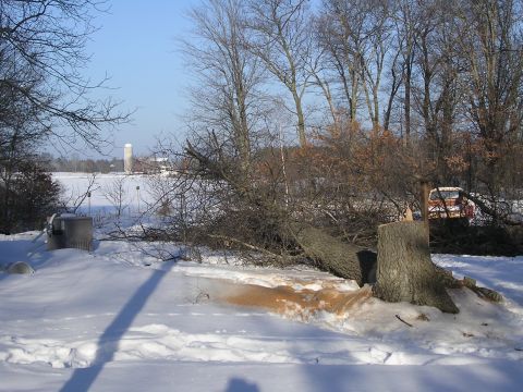 1978 Ford Bronco - A red truck is partially visible in a snowy rural landscape with a large tree cut down.