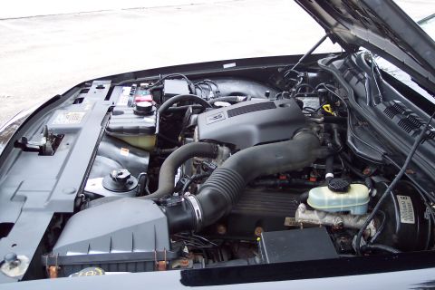 2001 Ford Crown Victoria - Engine bay of a 2001 Ford Crown Victoria, showing the V8 engine and associated components.