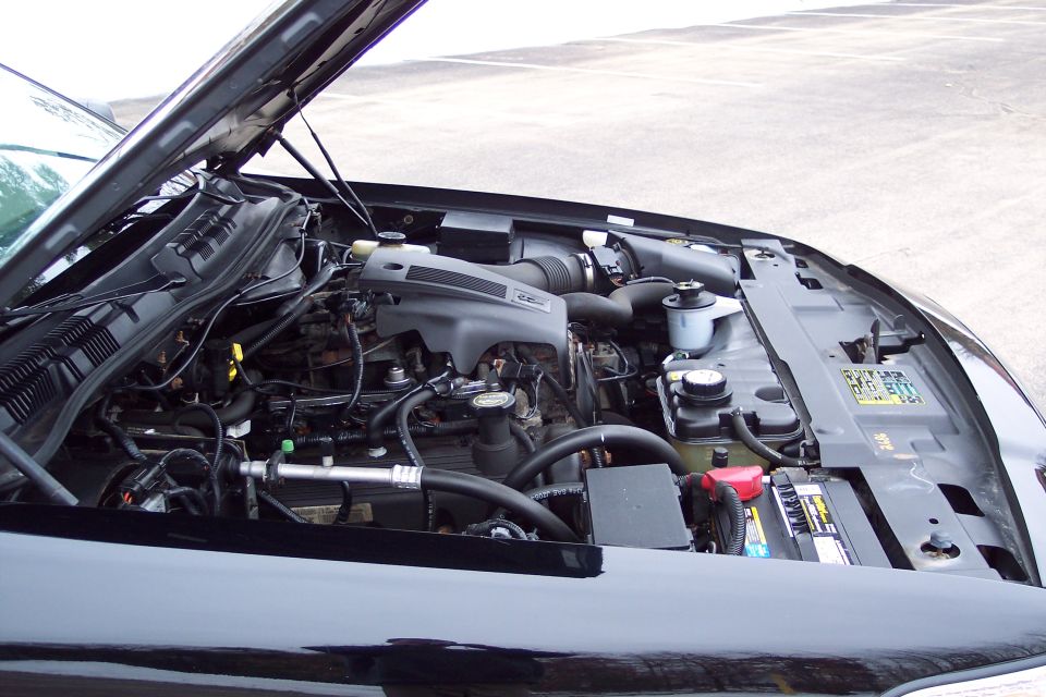 Engine bay of a 2001 Ford Crown Victoria, showing the V8 engine and various components under the hood