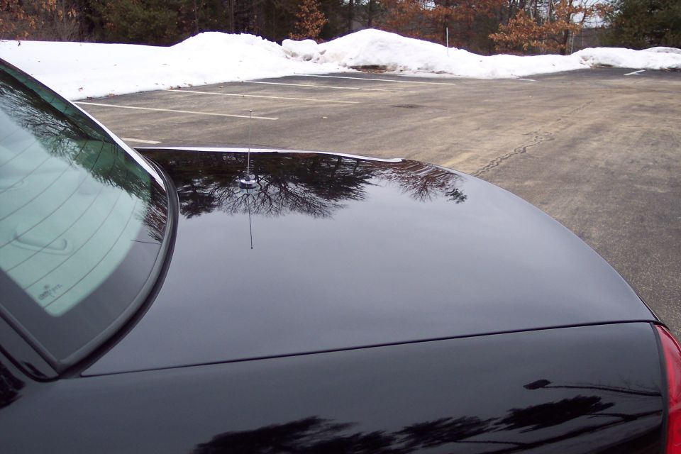 black sedan's shiny trunk and rear window with reflection of trees and antenna