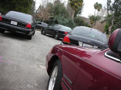 1992 Ford Crown Victoria - Several Ford Crown Victorias are parked together on a street, with trees and palm trees in the background.