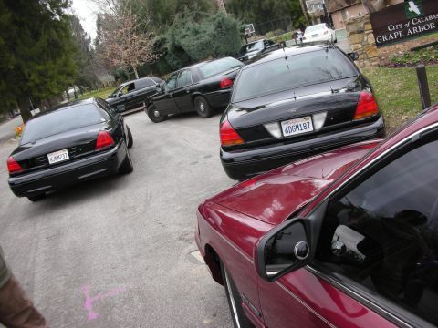 1992 Ford Crown Victoria - A group of black Ford Crown Victoria police cars are parked on a street near a sign for Grape Arbor.
