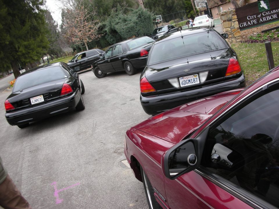 Several black Ford Crown Victorias parked, one with a red car in the foreground. License plate 6DGM187 visible