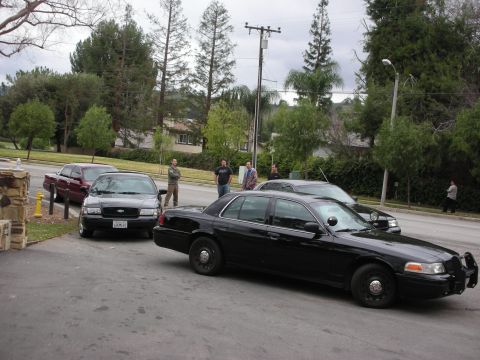 1992 Ford Crown Victoria - Multiple Ford Crown Victoria police cars are parked on a street with trees and houses in the background.
