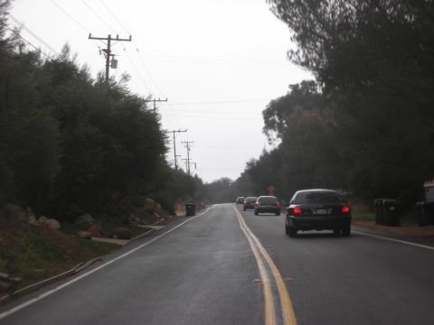 1992 Ford Crown Victoria - Several cars travel down a wet road lined with trees and utility poles under an overcast sky.
