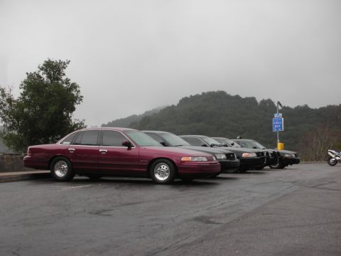 1992 Ford Crown Victoria - Several Ford Crown Victorias are parked in a line on a cloudy day.