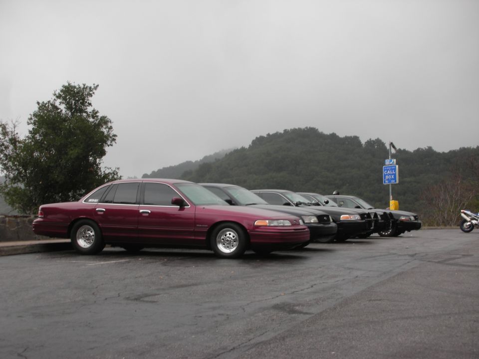 Maroon 1992 Ford Crown Victoria parked in a line with other Crown Victorias
