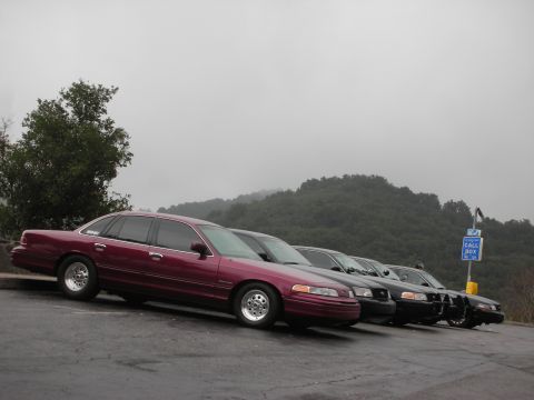 1992 Ford Crown Victoria - A line of Ford Crown Victorias, including a maroon one, parked on a cloudy day with a wooded hillside in the background.