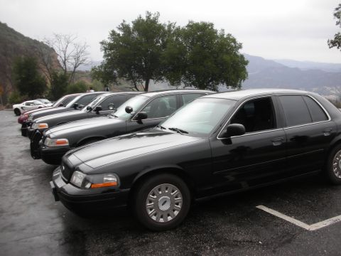 1992 Ford Crown Victoria - A line of black Ford Crown Victoria police cars parked on a wet asphalt lot with a scenic mountain view in the background.