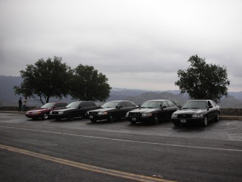 1992 Ford Crown Victoria - A line of Ford Crown Victoria sedans, mostly police cruisers, are parked at a scenic overlook on a cloudy day.