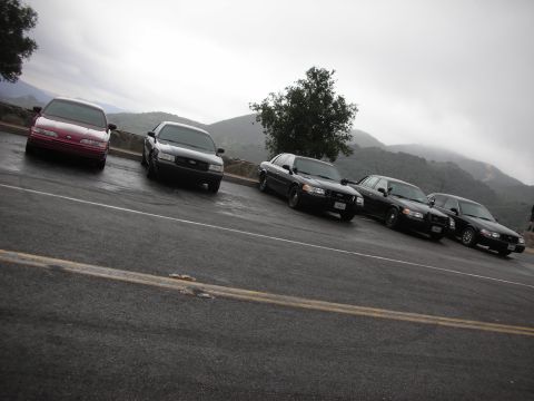 1992 Ford Crown Victoria - A line of five Ford Crown Victorias are parked on a scenic overlook.