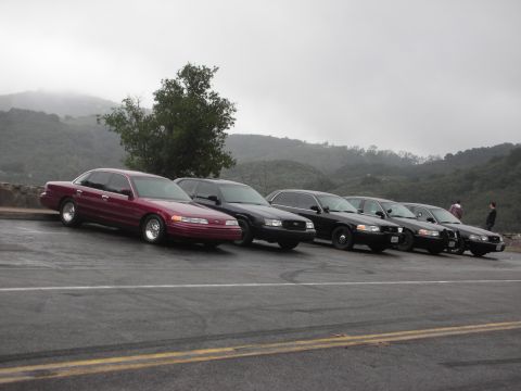 1992 Ford Crown Victoria - A line of Ford Crown Victorias, including a maroon example, are parked on a scenic overlook under a cloudy sky.