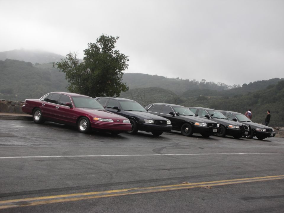 Maroon 1992 Ford Crown Victoria and several black Crown Victorias parked on a roadside