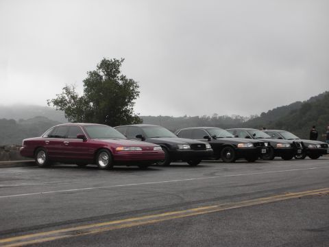 1992 Ford Crown Victoria - Several Ford Crown Victoria police cars are parked side-by-side on a road with hills in the background.