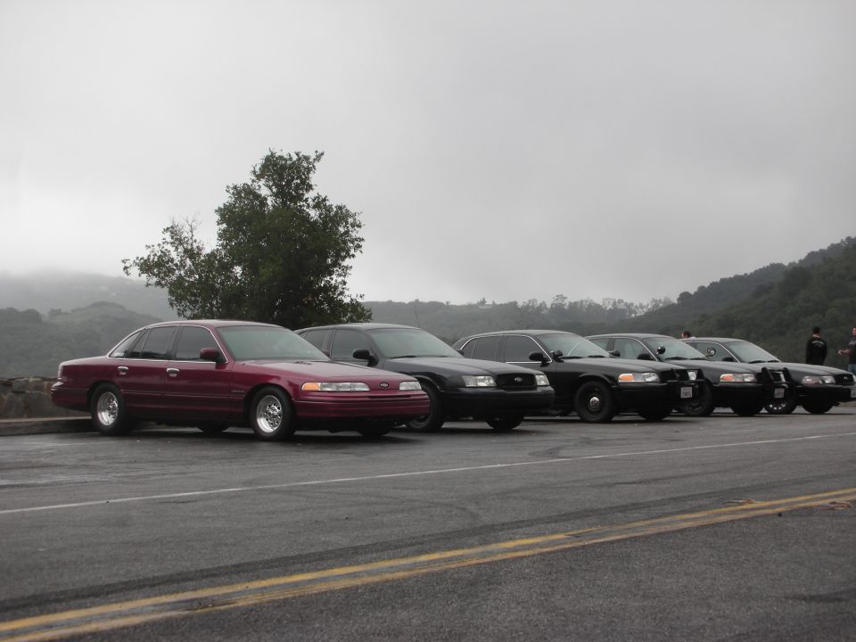 Five Ford Crown Victoria police cars parked in a line on a cloudy day