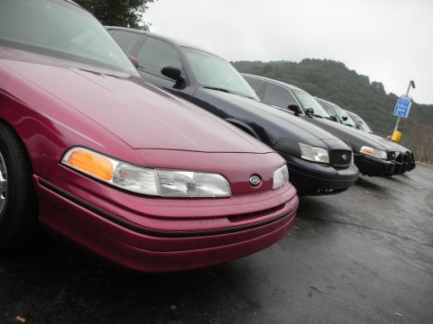 1992 Ford Crown Victoria - Several Ford Crown Victorias are parked in a row on a cloudy day.