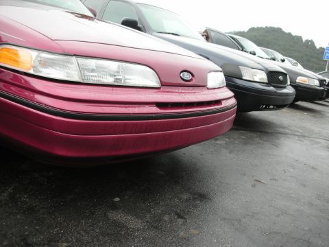1992 Ford Crown Victoria - Several Ford Crown Victorias are lined up, with the front of a maroon model in the foreground.