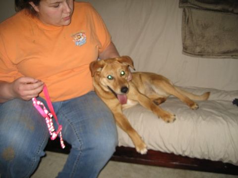 2004 Ford F-150 - A woman and her dog are relaxing on a couch.